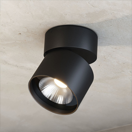 Pro Outdoor Adjustable Ceiling Light